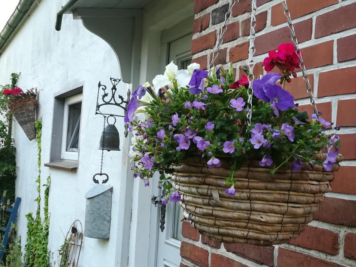 Ferienwohnung Brodersen Boren Dış mekan fotoğraf